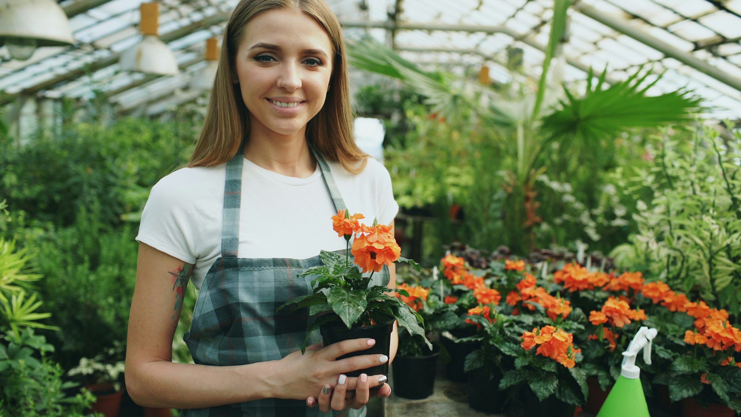 vitaly-gariev--gVVWD6pJ90-unsplash