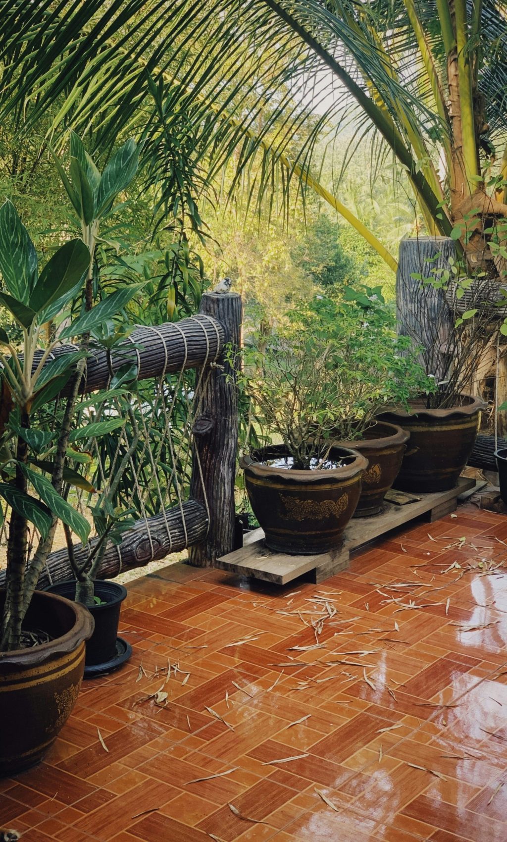 alexey-demidov-0qK-z9zMErM-unsplash