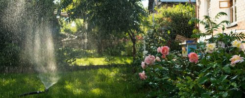 anastasia-kasarskaya-pZwdataeA-8-unsplash