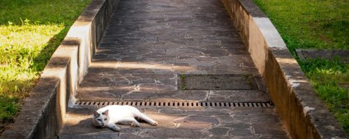 andrea-pedruzzi-LI9TAqIAOiA-unsplash