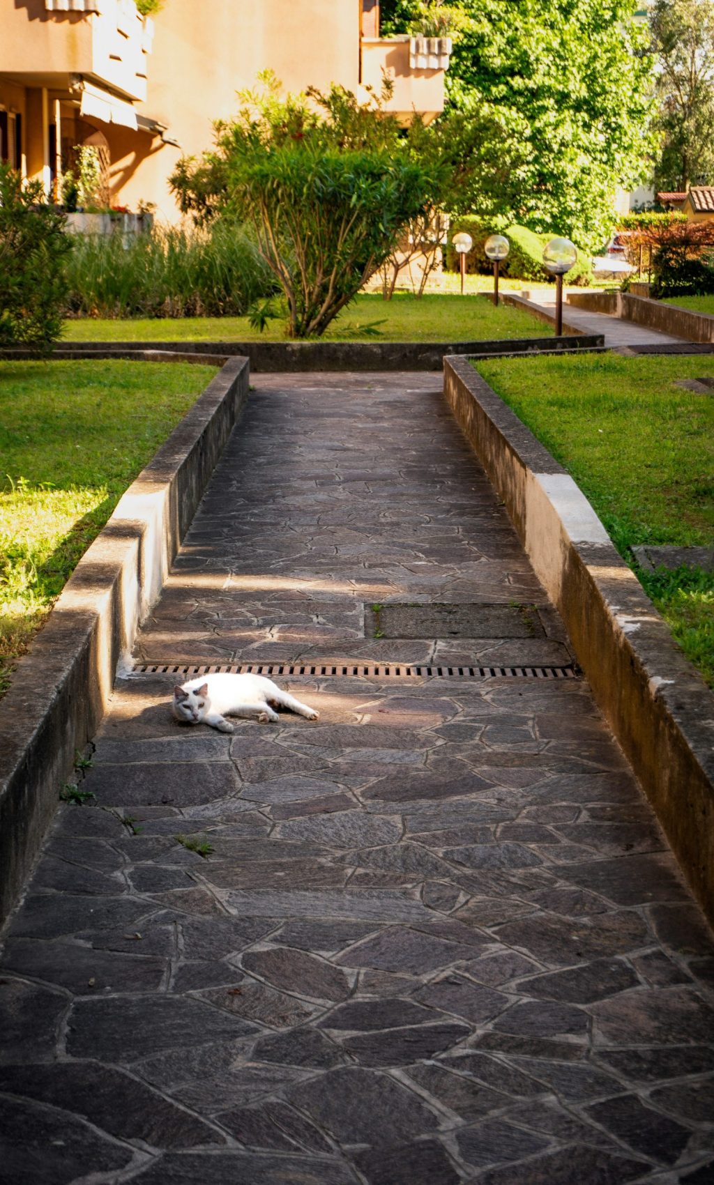 andrea-pedruzzi-LI9TAqIAOiA-unsplash