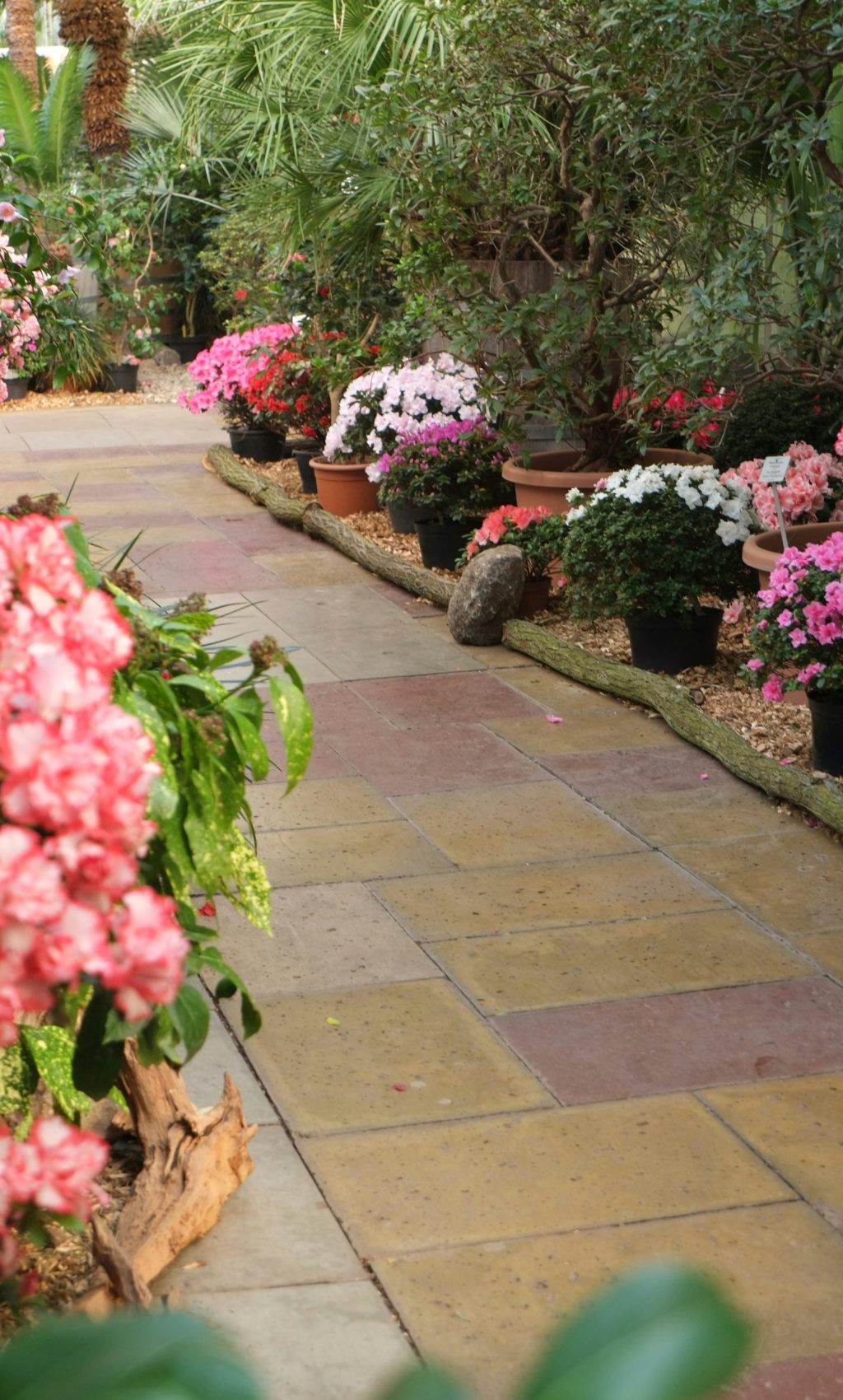 bernhard-3dqSQ1jVvjA-unsplash