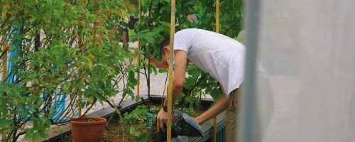 gigi-To7sMNTs8_E-unsplash