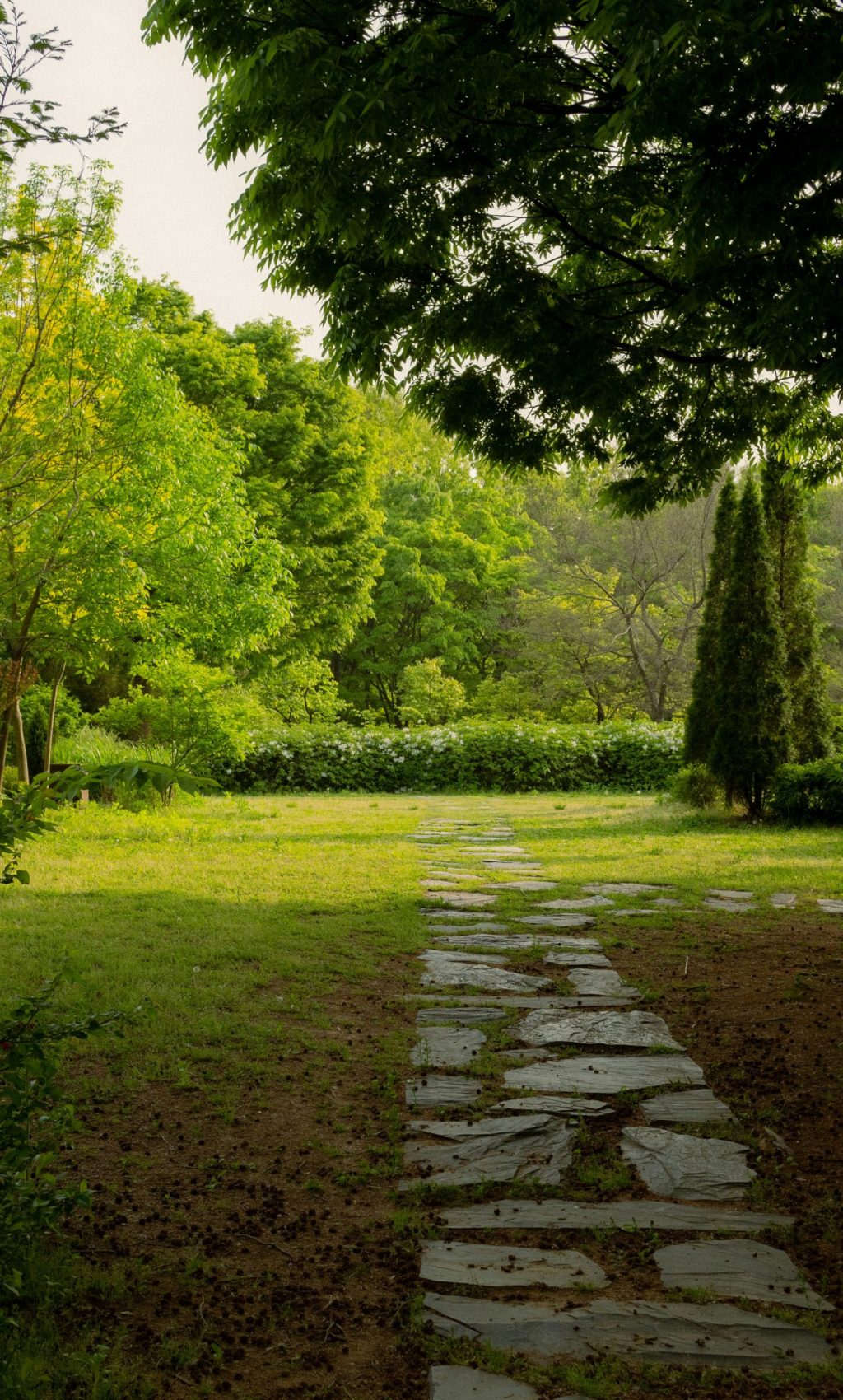 inyoung-jung-m5oG-KiVi9o-unsplash