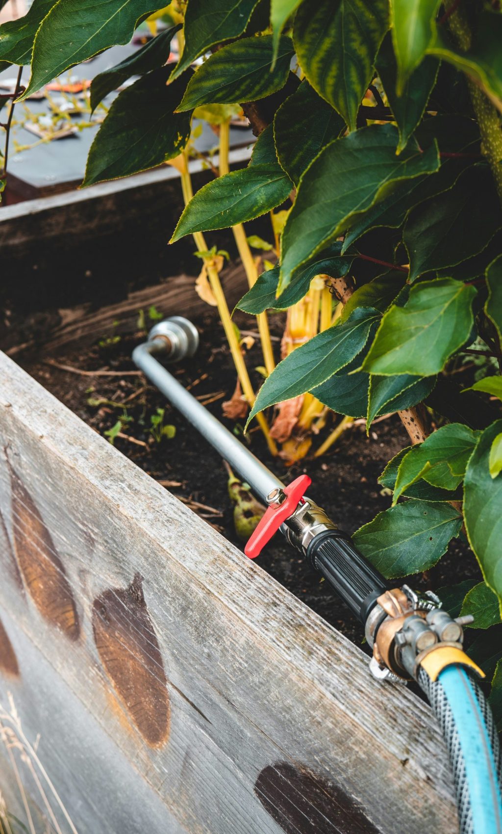 jonathan-kemper-jQ6dnOqYzPM-unsplash