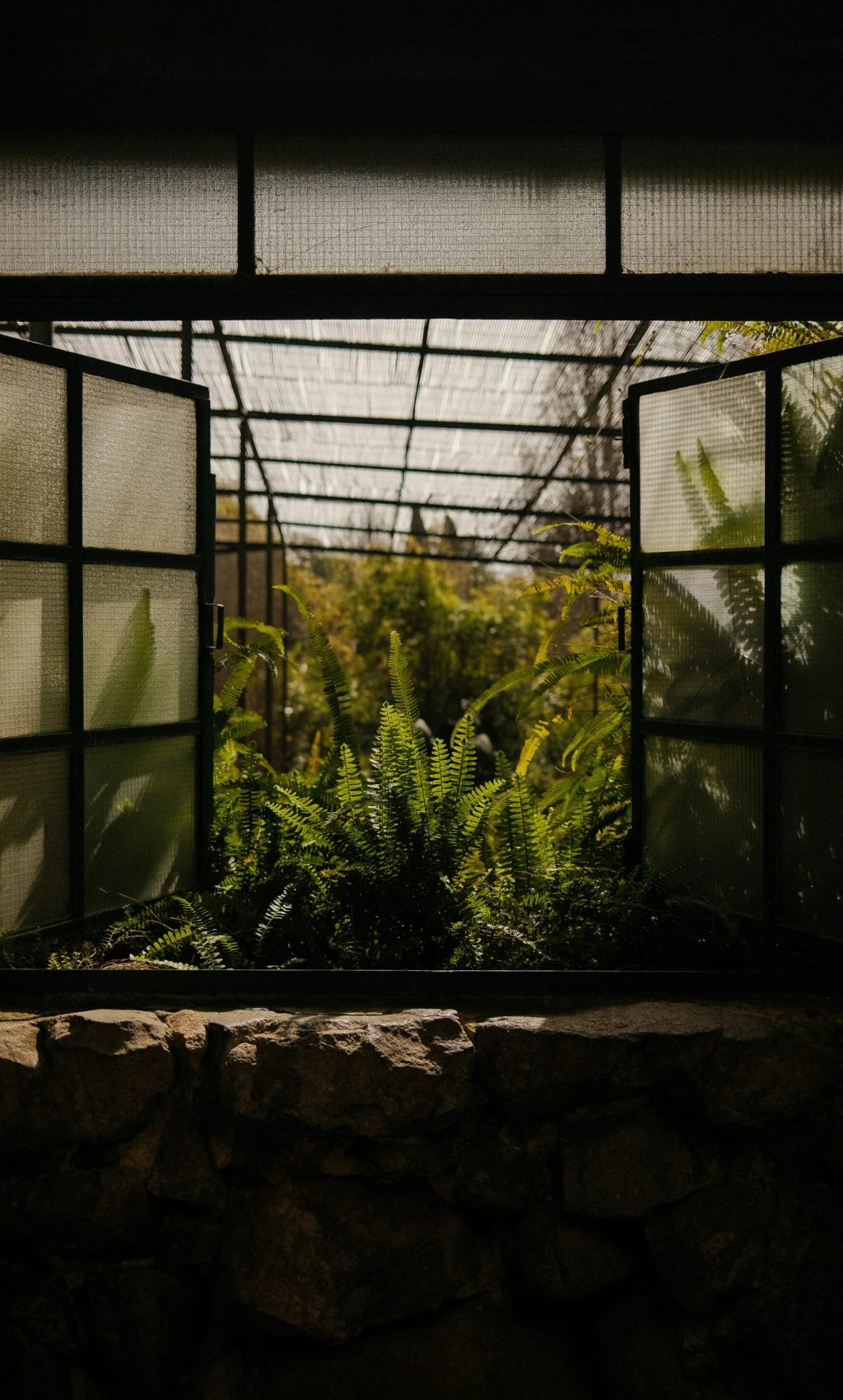 kira-laktionov-PAyTdRYA5v0-unsplash