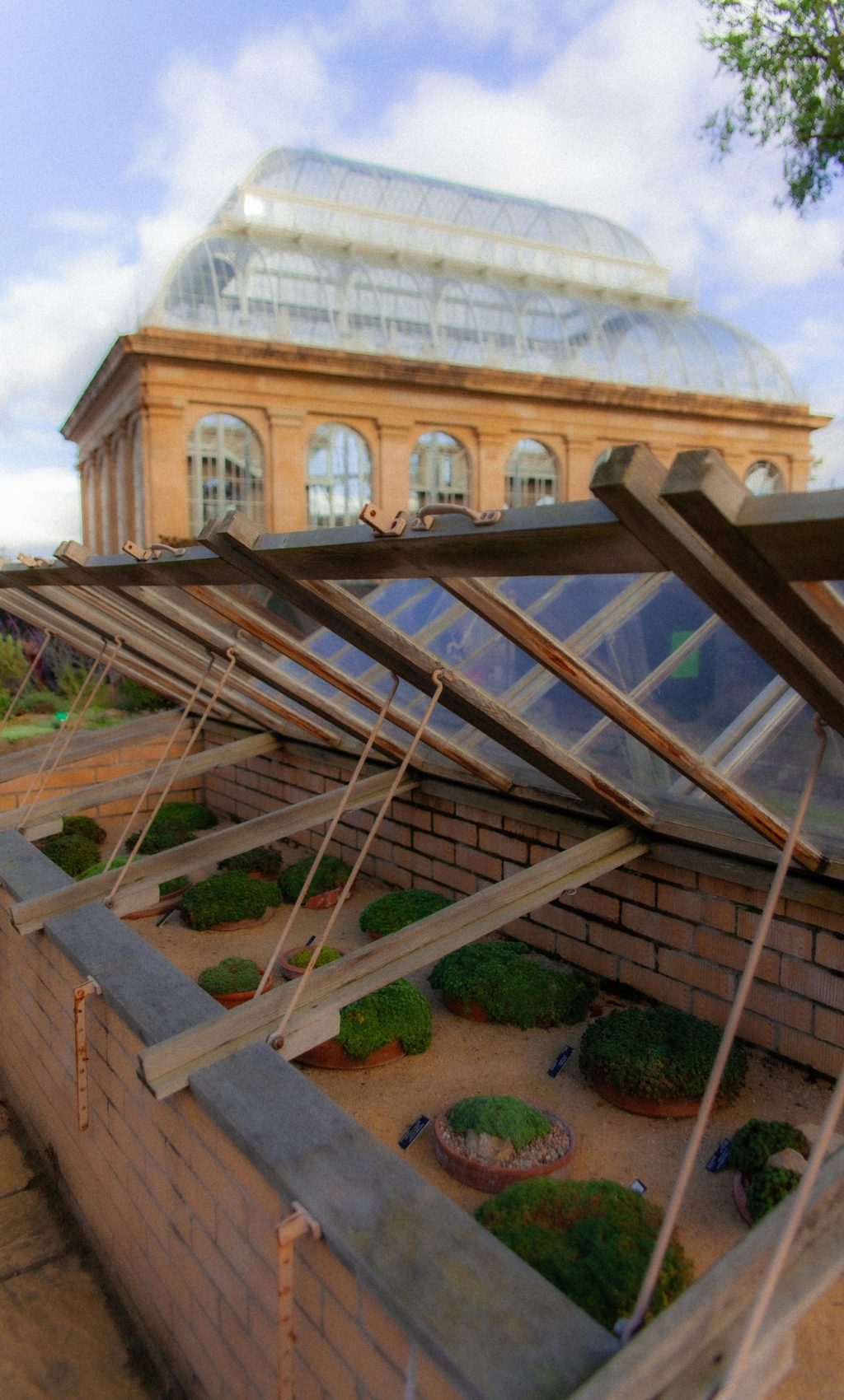 klaudia-borowiec-dlbmC4H9tEE-unsplash