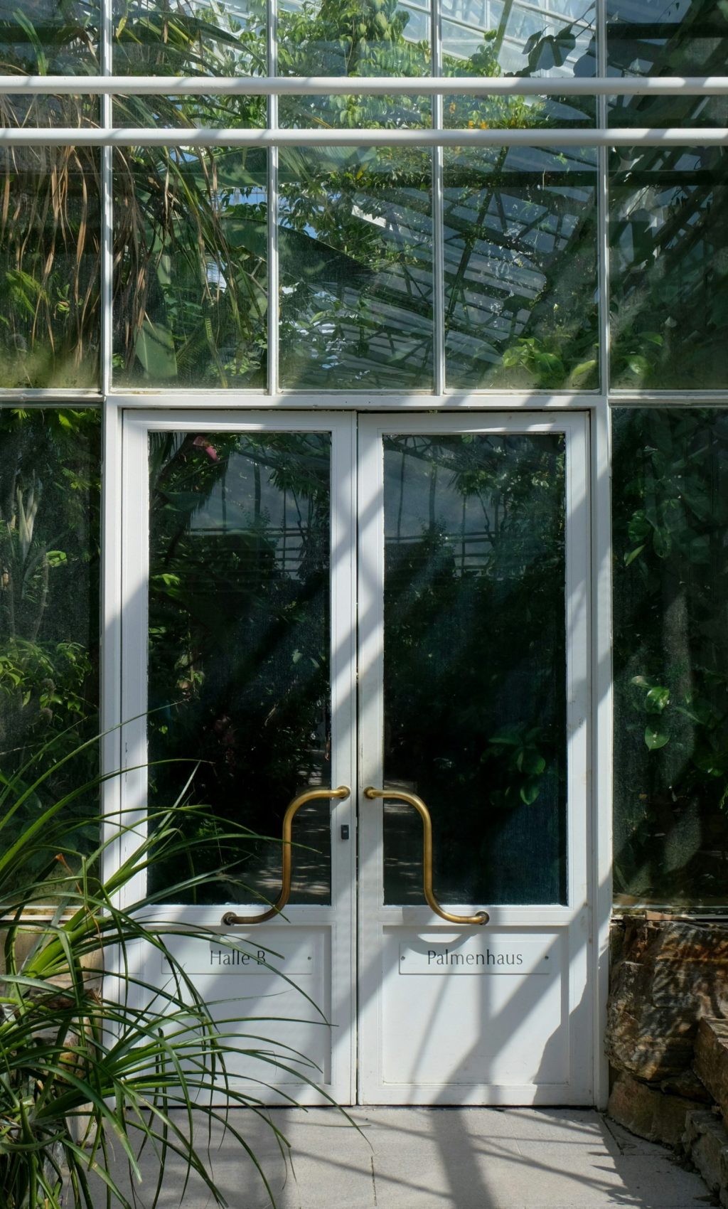 madita-luisa-IYDWyWjKoMY-unsplash