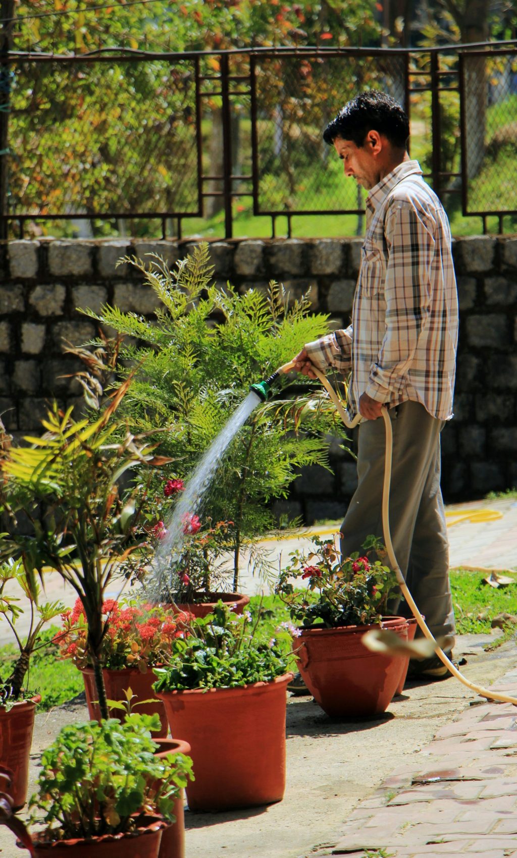 manish-sharma-XIPYB_69W8U-unsplash