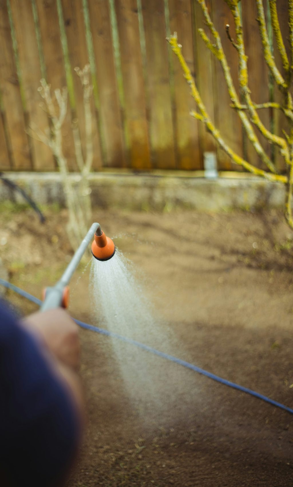 manuel-nobauer-80K2jiP91y8-unsplash