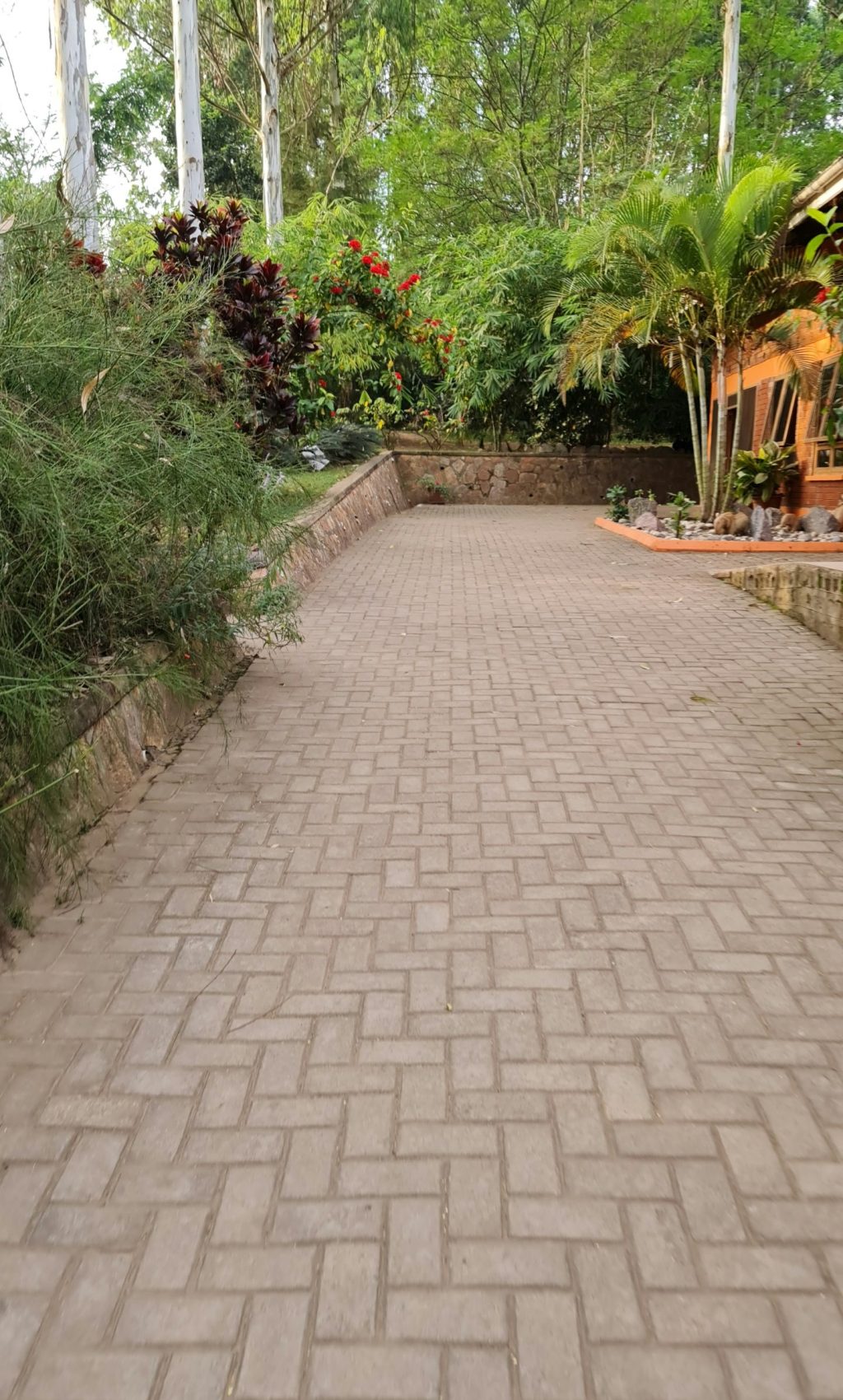 marion-alyek-exhPT9NLC6I-unsplash