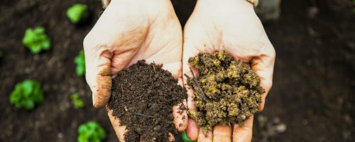 markus-spiske-nvk0j5IAgwI-unsplash