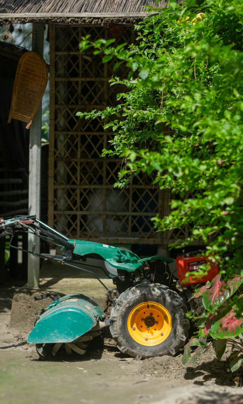 mohammad-rahman-8DRRnzmQBr8-unsplash