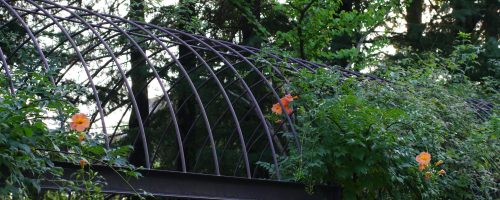 naoki-suzuki-qw5-n4gczgA-unsplash