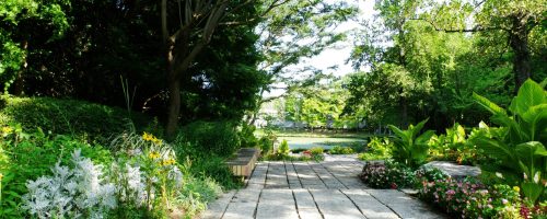 naoki-suzuki-sGzV4TRf7sA-unsplash