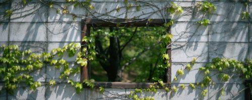 olivia-kim-uY1PEkyEexI-unsplash