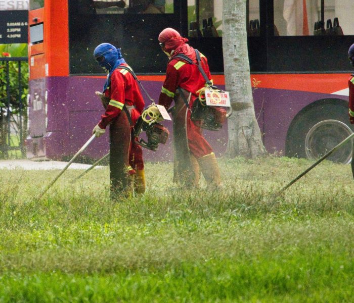 shubhendu-mohanty-WhmgvMLCy7M-unsplash