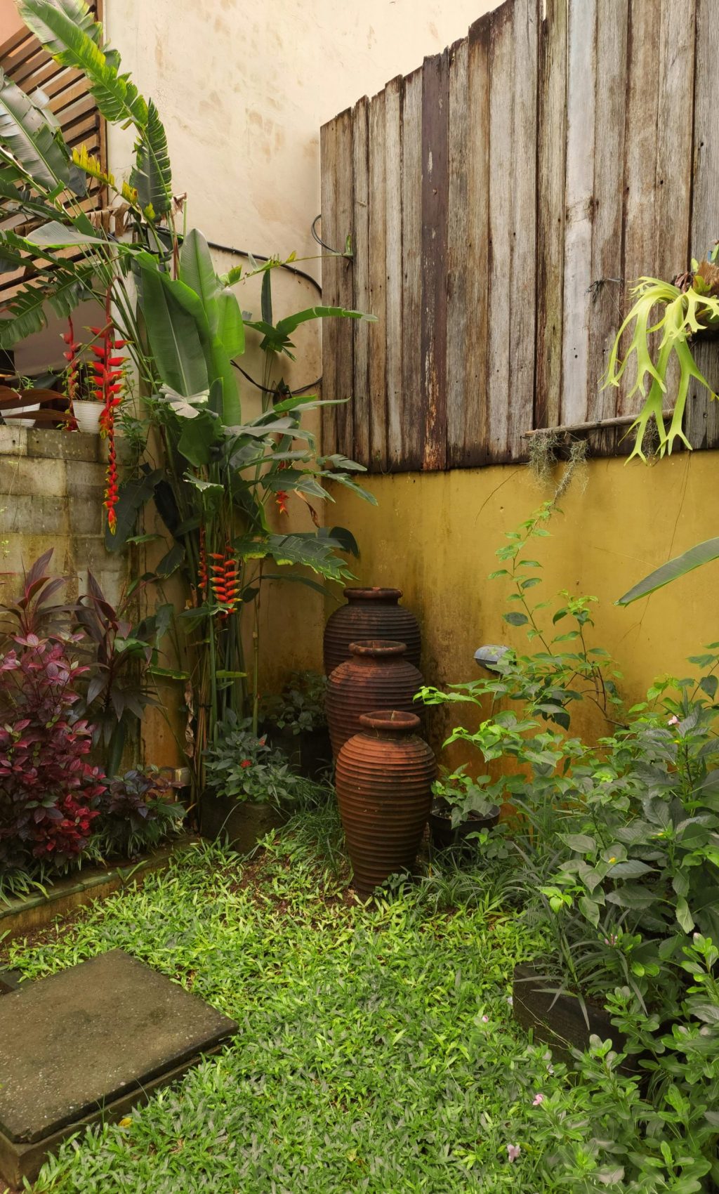 sony-dC_rFyIzBKQ-unsplash