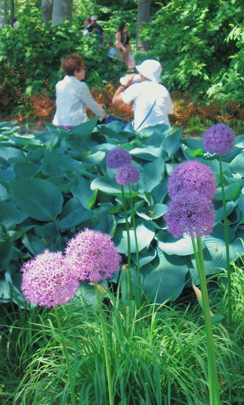 vivian-liang-6NScudDmaG0-unsplash