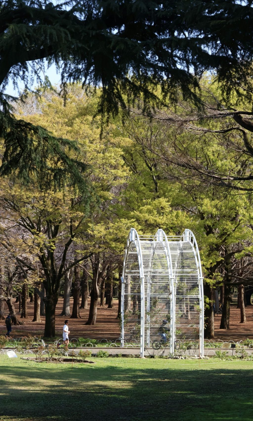 yanhao-fang-0_UxCddWwhU-unsplash