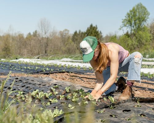 zoe-richardson-D_VjFp1ds1Y-unsplash